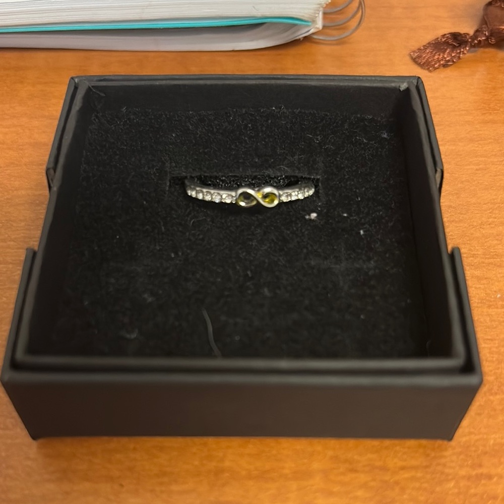 Elegant Silver Infinity Ring
